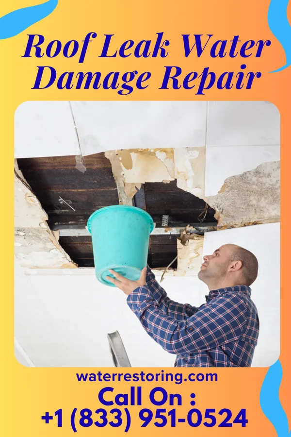 Roof Leak Water Damage Repair in Toronto, KS