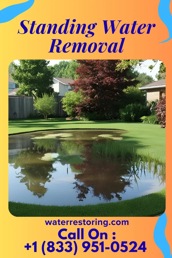 Standing Water Removal in Toronto, KS